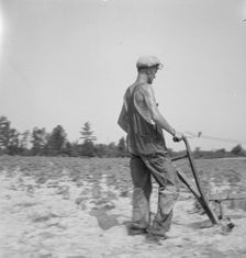 White tenant farmer works on shares. North Carolina, 1936. Creator: Dorothea Lange