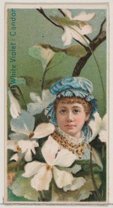 White Violet: Candor, from the series Floral Beauties and Language of Flowers (N75) for Du..., 1892. Creator: Donaldson Brothers