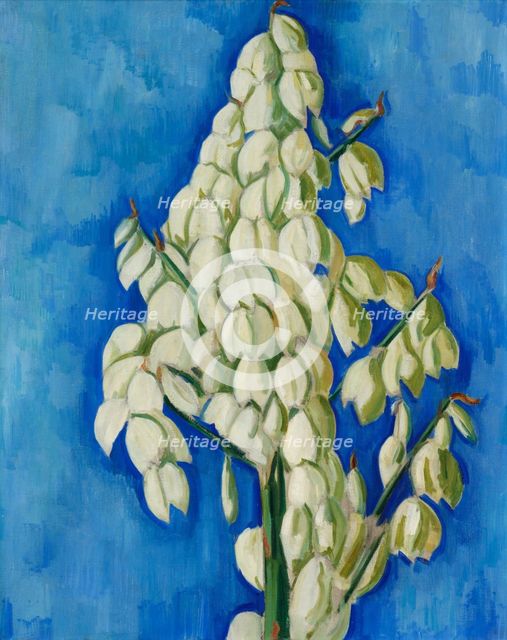 White Yucca, 1928. Creator: Marsden Hartley.