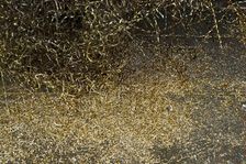 Whitechapel Bell Foundry, 32-34 Whitechapel Road, Tower Hamlets, London, 2010. Artist: Derek Kendall