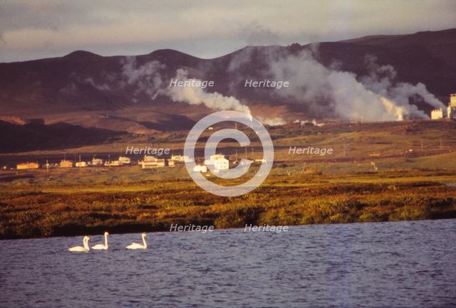 Whooper Swans on Lake Myvatn with Hot Springs Beyond, North Central Iceland, 20th century.  Artist: CM Dixon.