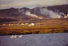 Whooper Swans on Lake Myvatn with Hot Springs Beyond, North Central Iceland, 20th century. Artist: CM Dixon