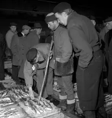 Wholesalers and fishmongers at the fish auction, Gothenburg, Sweden, 1960. Creator: Torkel Lindeberg