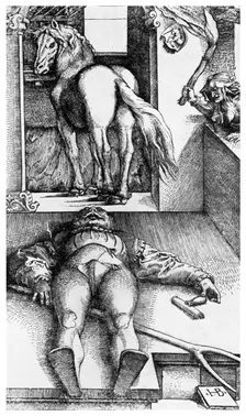 Witch hunt: The Bewitched Groom 16th century (1956)