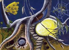 Witch's cauldron and spider web, c1950. Creator: Shirley Markham