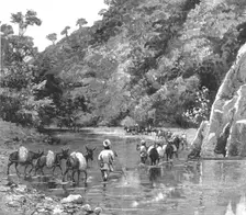 'With the Chin-Lushai Expeditionary Force; A Mule Convoy crossing the Loung-Gut-Choung Stream 189 Creator: Unknown