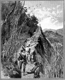 With the Lushai Expedition: coolies carrying bags of rice up a mountain path, 1890. Creator: R. Taylor