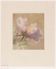 Withered rose, 1851-1924. Creator: Carel Nicolaas Storm