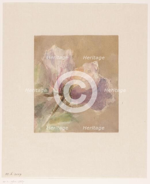 Withered rose, 1851-1924. Creator: Carel Nicolaas Storm.