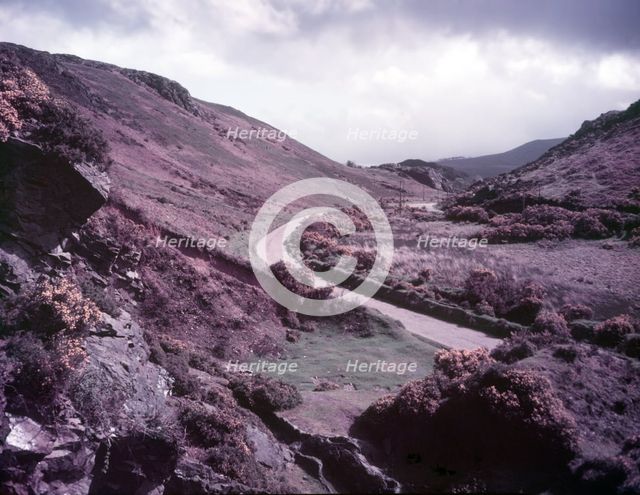 Wicklow, Ireland, c1955. Creator: Arthur Charles Kirby Ware.