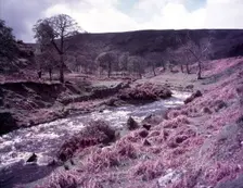 Wicklow, Ireland, c1955. Creator: Arthur Charles Kirby Ware