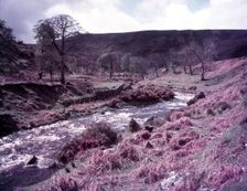 Wicklow, Ireland, c1955. Creator: Arthur Charles Kirby Ware
