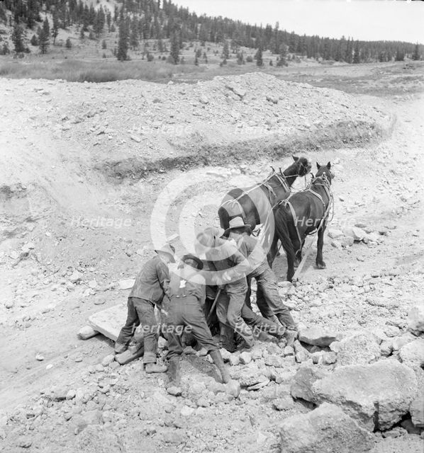 Widtsoe land use adjustment project, Garfield County, Utah, 1936. Creator: Dorothea Lange.