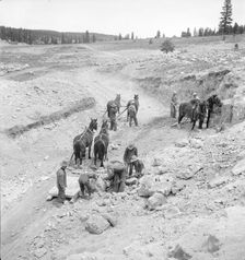 Widtsoe land use adjustment project, Garfield County, Utah, 1936. Creator: Dorothea Lange