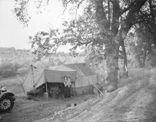 Wife and child of migrant worker, encamped near Winters, California, 1936. Creator: Dorothea Lange