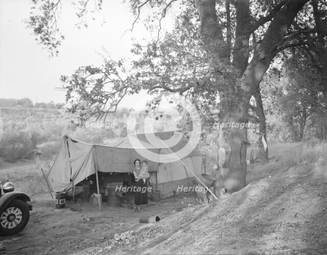 Wife and child of migrant worker, encamped near Winters, California, 1936. Creator: Dorothea Lange.