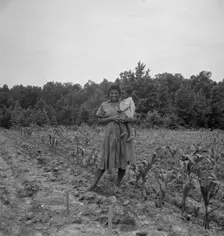 Wife and child of...sharecropper..., Hillside Farm, Person County, North Carolina, 1939. Creator: Dorothea Lange