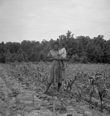 Wife and child of...sharecropper..., Hillside Farm, Person County, North Carolina, 1939. Creator: Dorothea Lange