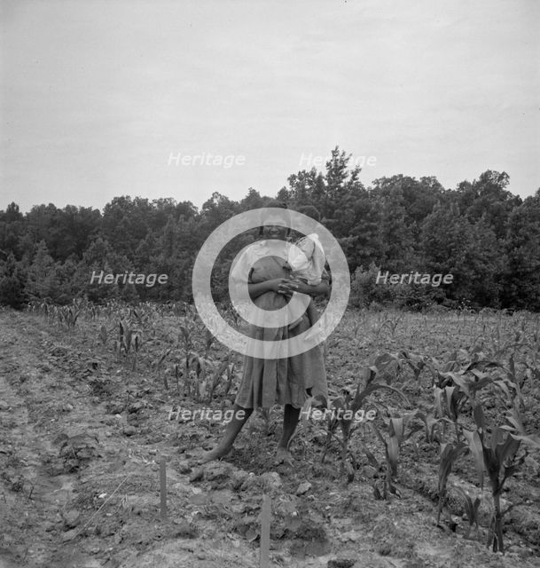 Wife and child of...sharecropper..., Hillside Farm, Person County, North Carolina, 1939. Creator: Dorothea Lange.