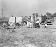 Wife and five children of migratory fruit worker, American River camp on...Sacramento, CA,1936. Creator: Dorothea Lange