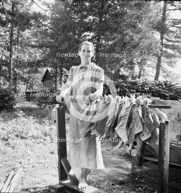 Wife of tenant farmer, Mrs. Oakley, works..., Granville County, North Carolina, 1939. Creator: Dorothea Lange.