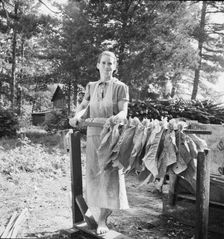 Wife of tenant farmer, Mrs. Oakley, works..., Granville County, North Carolina, 1939. Creator: Dorothea Lange