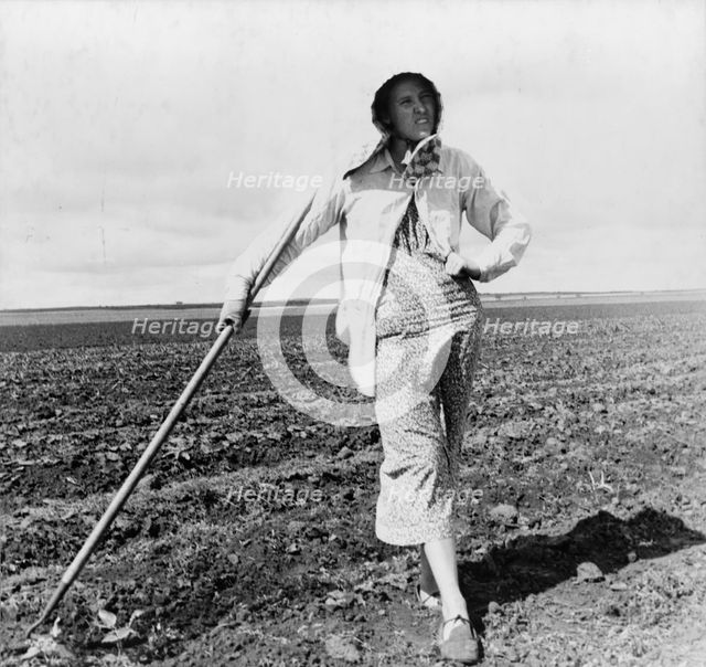 Wife of Texas tenant farmer, 1937. Creator: Dorothea Lange.