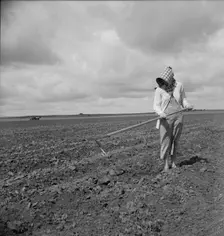 Wife of Texas tenant farmer, 1937. Creator: Dorothea Lange