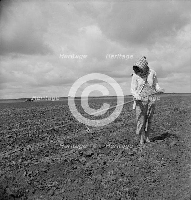 Wife of Texas tenant farmer, 1937. Creator: Dorothea Lange.