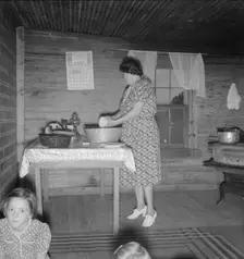Wife of tobacco sharecropper in kitchen of home, Person County, North Carolina, 1939. Creator: Dorothea Lange