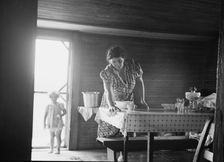 Wife of tobacco sharecropper in kitchen of home, Person County, North Carolina, 1939. Creator: Dorothea Lange