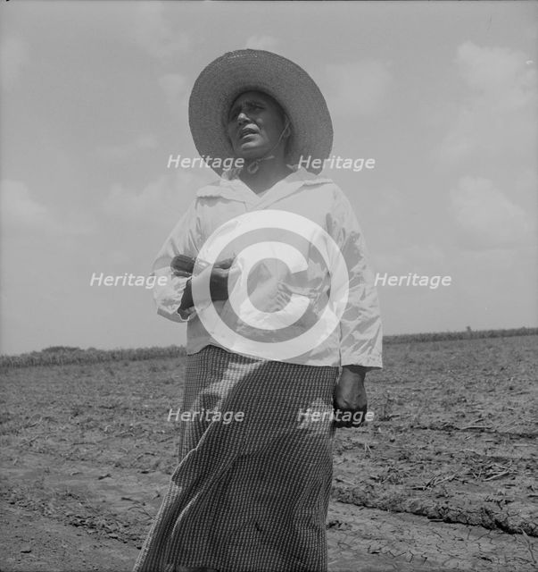 Wife of a Mexican sharecropper near Bryan, Texas, 1938. Creator: Dorothea Lange.