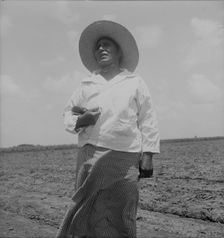 Wife of a Mexican sharecropper near Bryan, Texas, 1938. Creator: Dorothea Lange