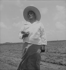 Wife of a Mexican sharecropper near Bryan, Texas, 1938. Creator: Dorothea Lange
