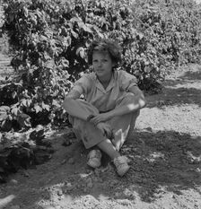 Wife of an ex-logger, now a migratory field..., Independence (vicinity), Polk County, Oregon, 1939. Creator: Dorothea Lange