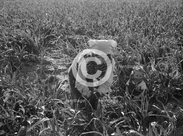 Wife of formerly rehabilitation client now operating own farm, near Manteca, CA, 1938. Creator: Dorothea Lange.