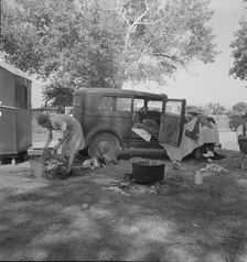 Wife of migratory worker in auto camp, California, 1936. Creator: Dorothea Lange