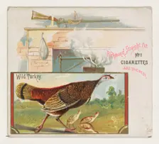 Wild Turkey, from the Game Birds series (N40) for Allen & Ginter Cigarettes, 1888-90. Creator: Allen & Ginter