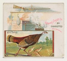 Wild Turkey, from the Game Birds series (N40) for Allen & Ginter Cigarettes, 1888-90. Creator: Allen & Ginter