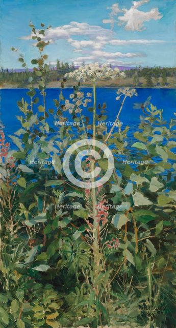 Wild Angelica, 1889. Creator: Akseli Gallen-Kallela.