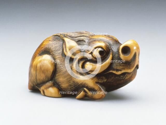 Wild Boar, 18th century. Creator: Unknown.