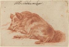 Wild Boar, 18th century. Creator: Unknown
