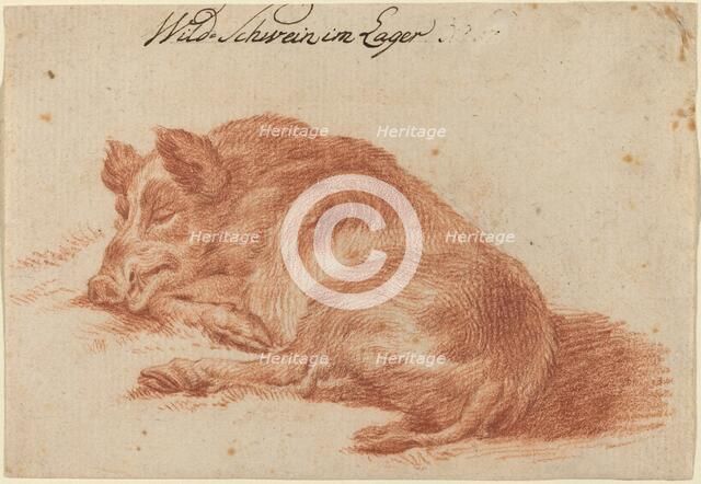 Wild Boar, 18th century. Creator: Unknown.