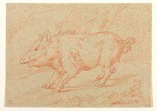 Wild Boar, between 1698 and 1769. Creator: Johann Elias Ridinger