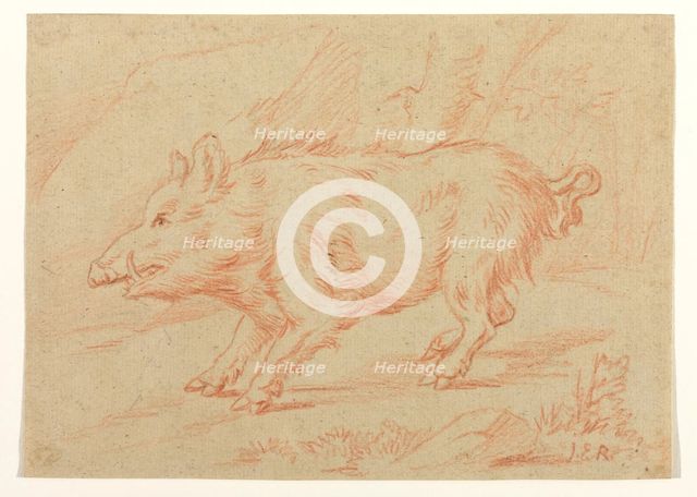 Wild Boar, between 1698 and 1769. Creator: Johann Elias Ridinger.