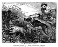 Wild boar hunting, c1600-1650 (1843). Creator: J Smith