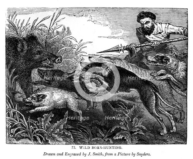 Wild boar hunting, c1600-1650 (1843).  Creator: J Smith.
