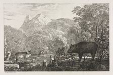 Wild Boar, Wildcat and Lynx, 1807. Creator: Maximilian Josef Wagenbauer (German, 1774-1829)
