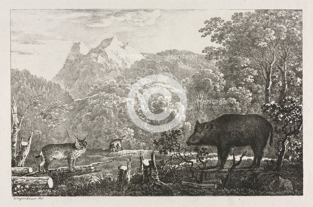Wild Boar, Wildcat and Lynx, 1807. Creator: Maximilian Josef Wagenbauer (German, 1774-1829).