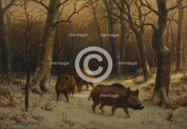 Wild Boars in the Snow, c. 1872-1877. Creator: Rosa Bonheur (French, 1822-1899).